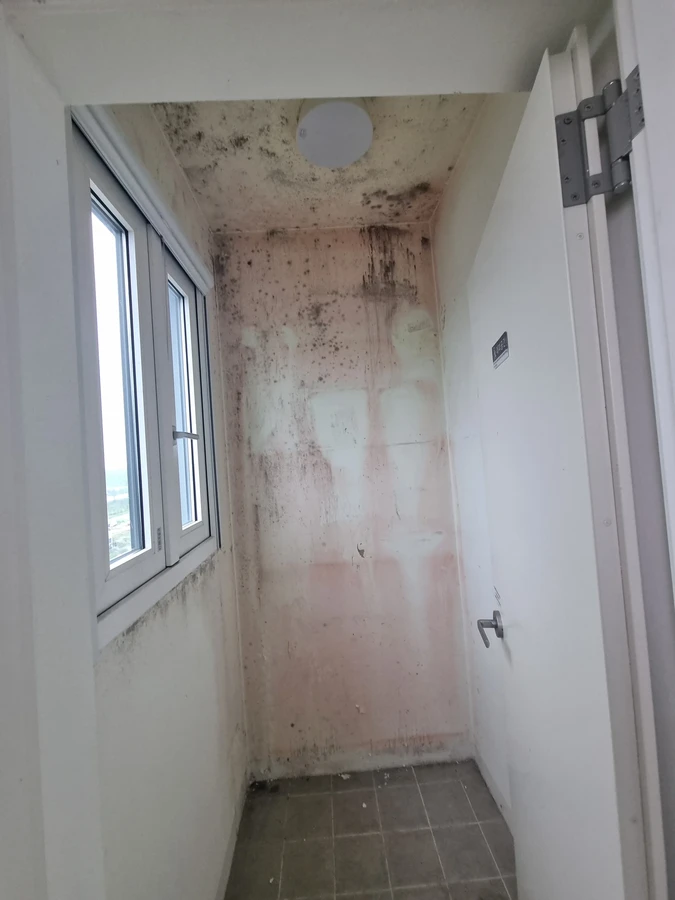 다용도실 벽면·천장 곰팡이 제거 제거 전